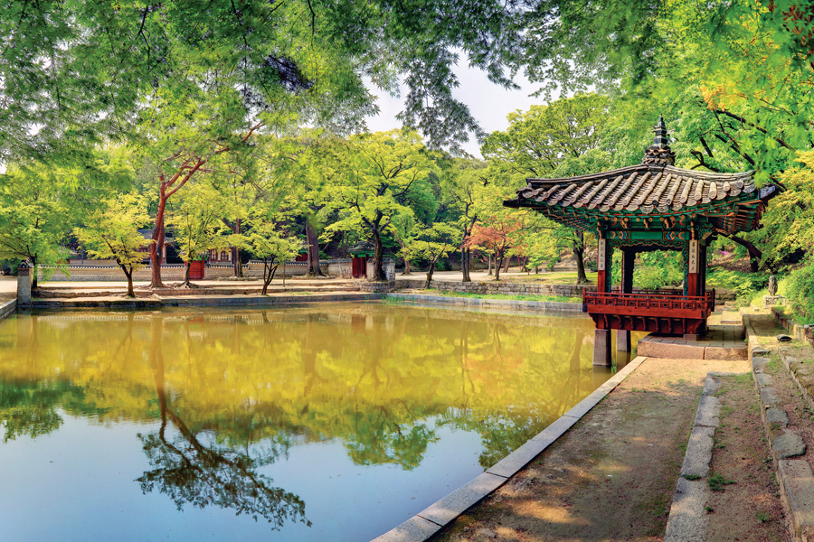 A Practical Guide to Reserving Changdeokgung's Secret Garden — photo from Korean media
