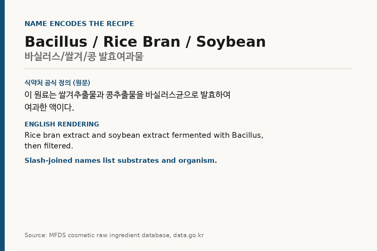 Card explaining how slash-joined ferment ingredient names are structured