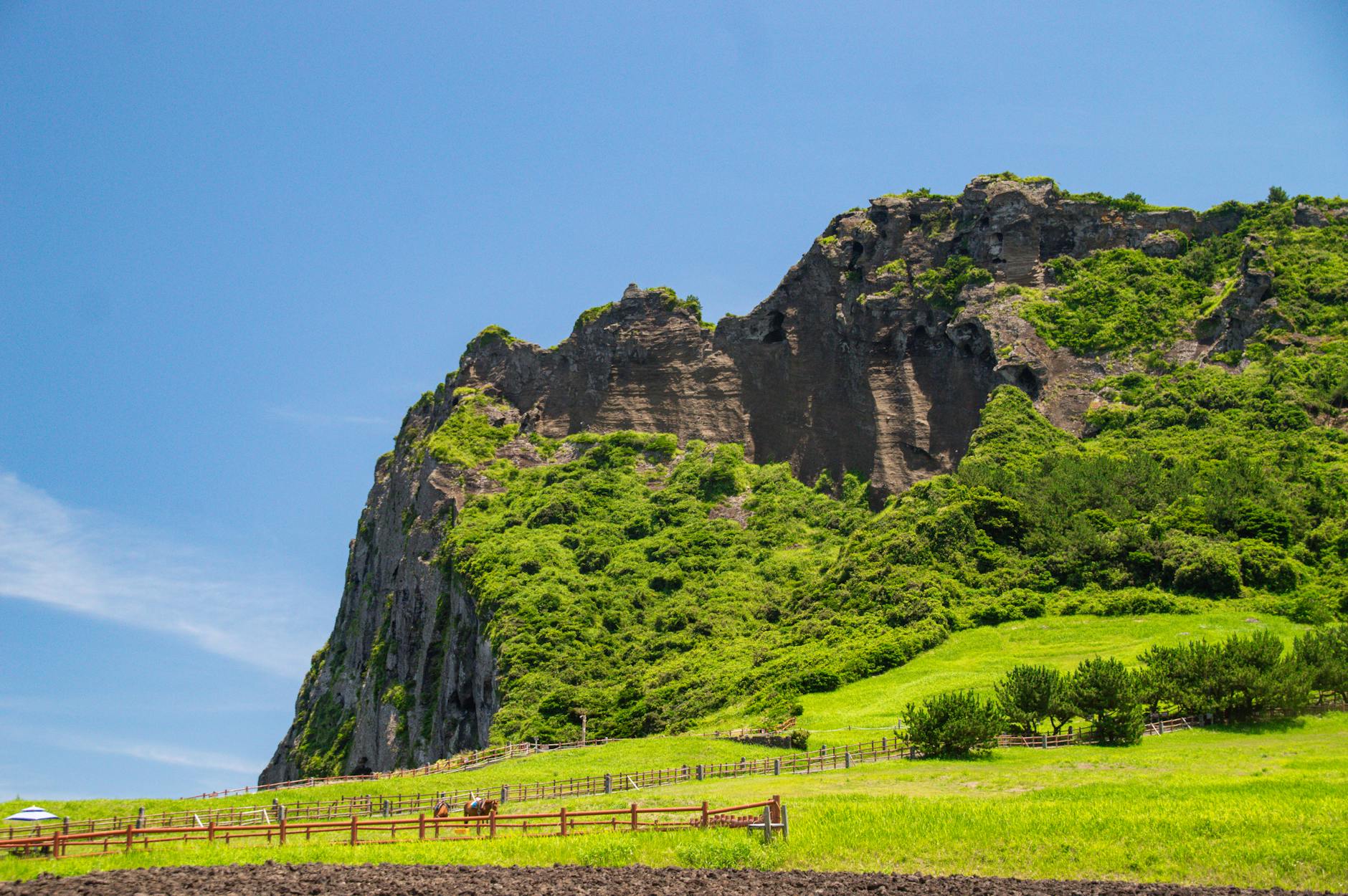 A stunning view of Seongsan Ilchulbong, a lush volcanic cone on Jeju Island, South Korea.