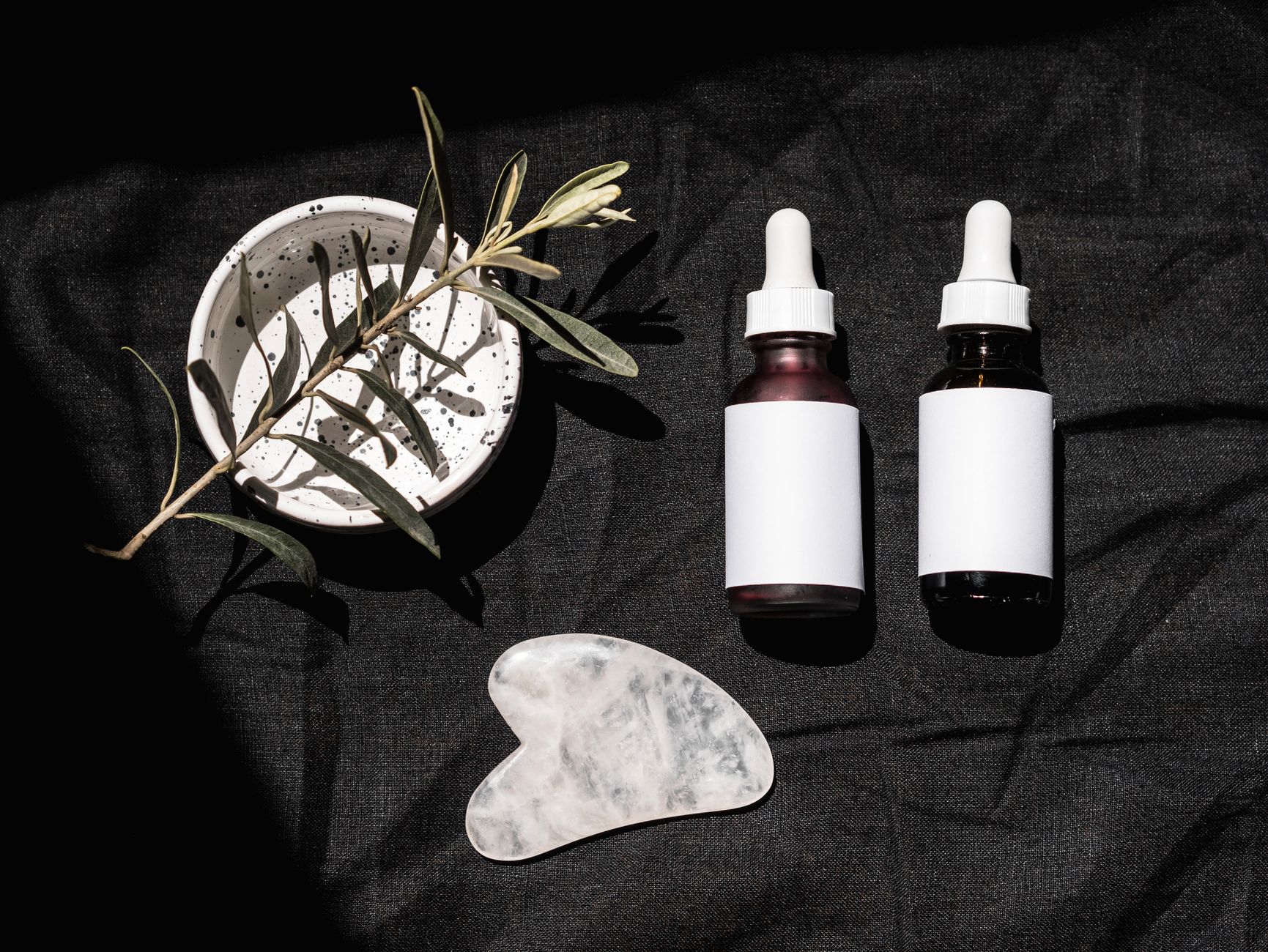 Minimalist flat lay featuring cosmetic bottles, gua sha, and a plant with copy space.