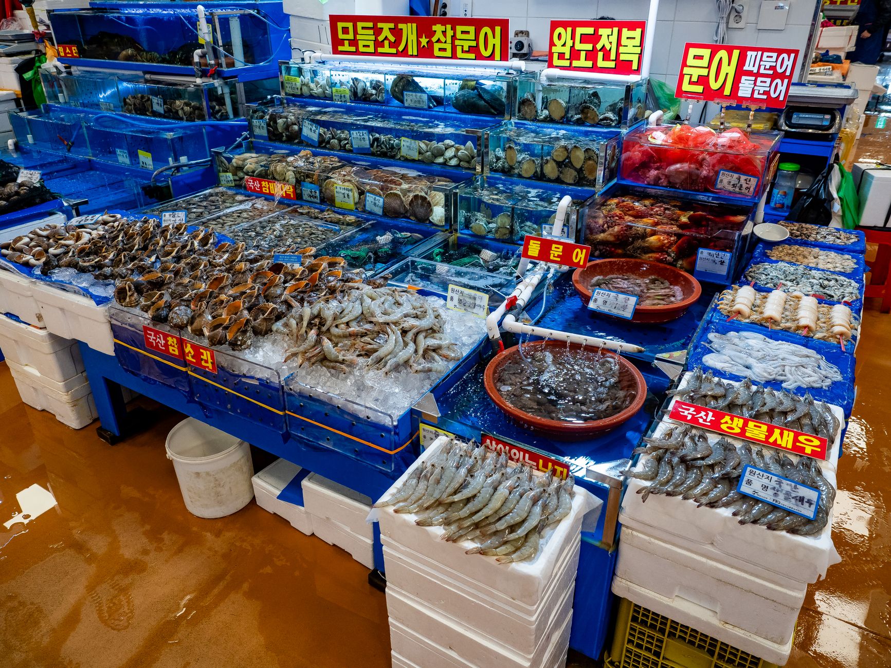 Colorful seafood display at a bustling market in Seoul, South Korea.