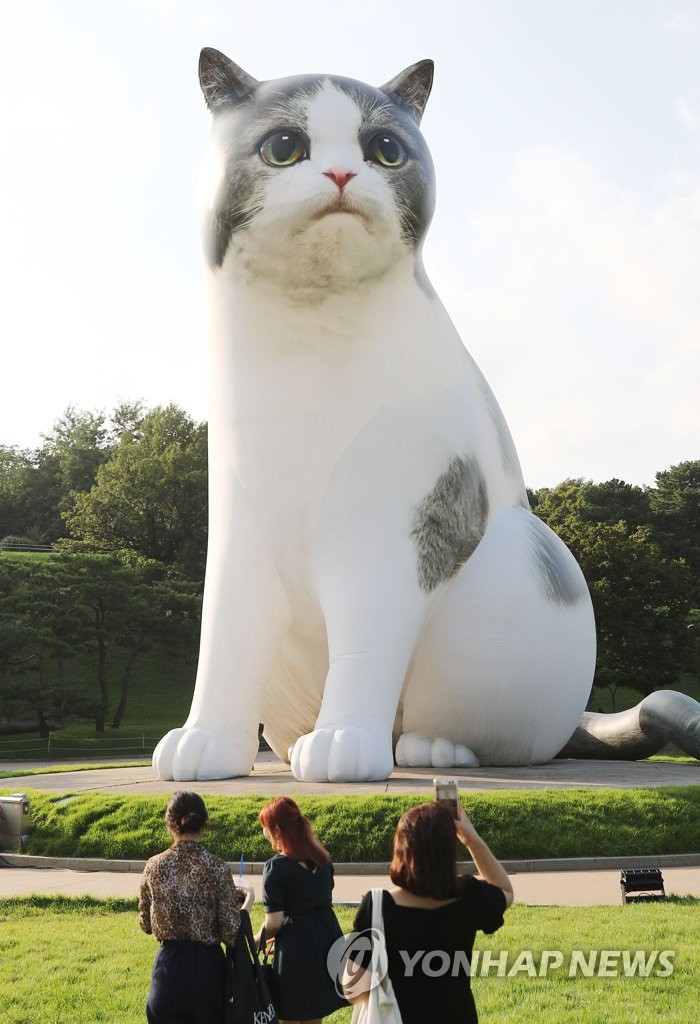 Exploring Olympic Park's Rose Garden and Walking Route in May — photo from Korean media