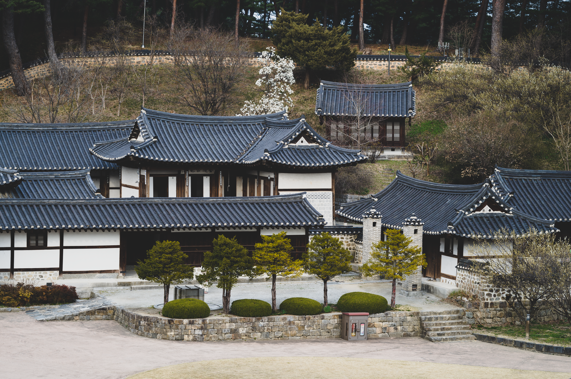 Serene view of traditional Korean buildings with curved roofs in a peaceful natural setting.