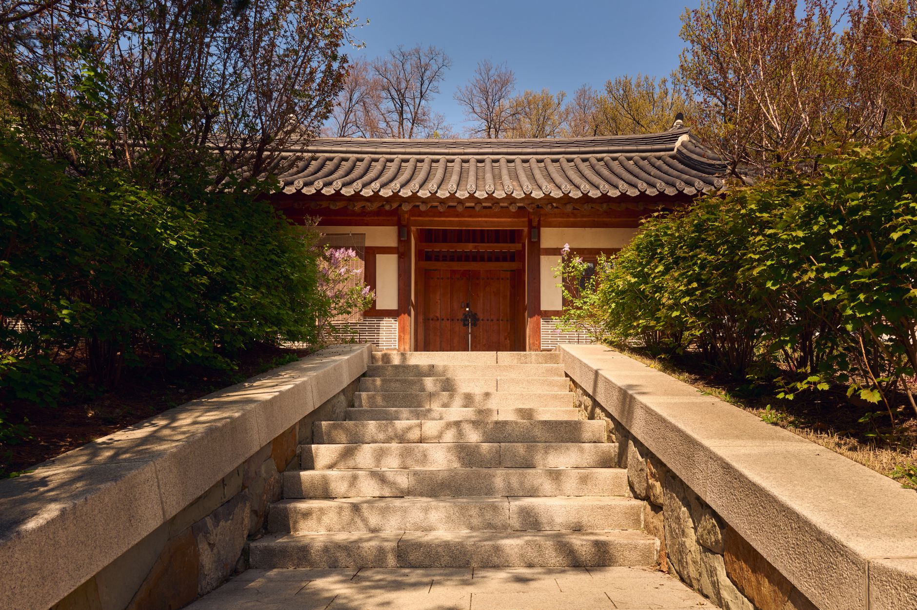 Steps leading to a traditional Korean gate, surrounded by lush spring foliage.