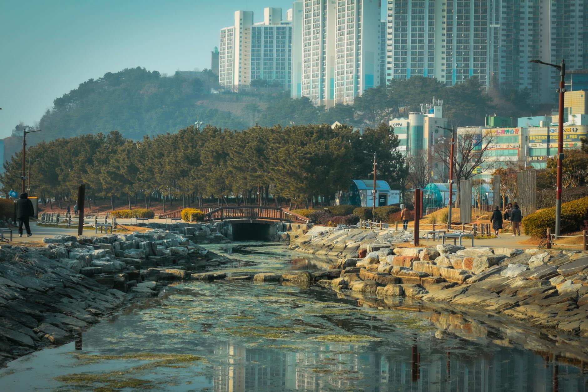 Picturesque view of a park in Seoul, featuring a stream and modern high-rise buildings.